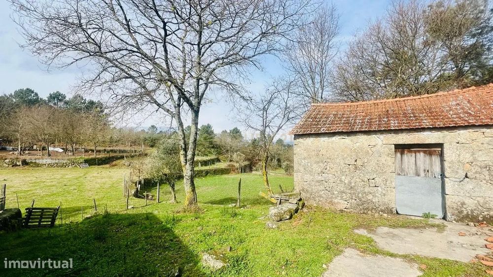 Encantador Terreno Rústico em Viseu com Poço