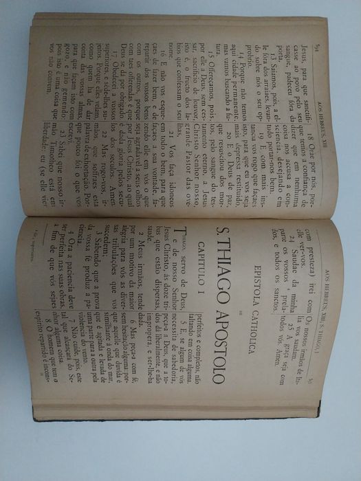 O Novo Testamento 1903