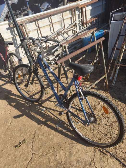 Bicicletas diversas