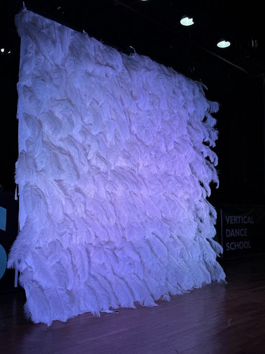 Фото зона пір’я