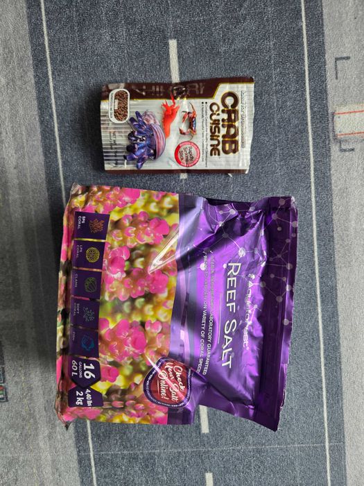 Krab pustelnik z terarium i akcesoriami