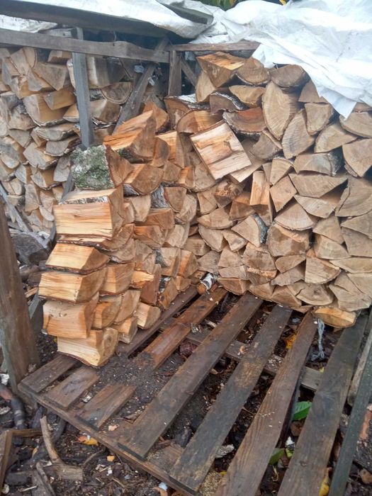 Sprzedam drzewo kominkowe