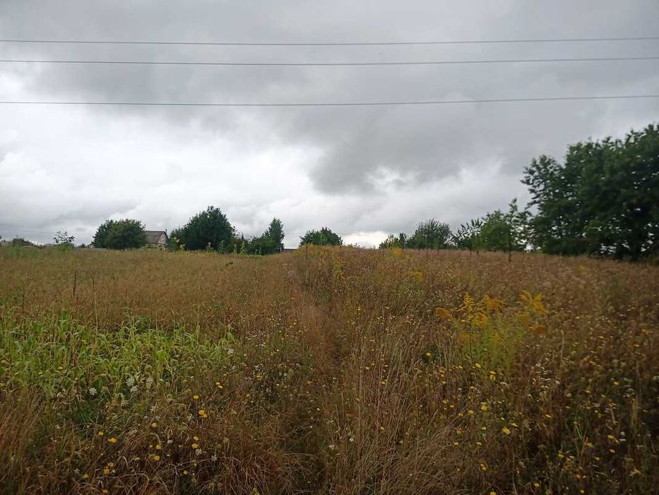 Продаж земельної ділянки в селі Лука-Мелешківська