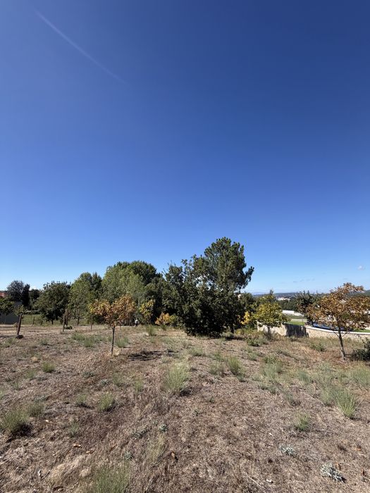 Terreno em solo urbano de 1250m2 com viabilidade construtica em Sever, Moimenta da Beira