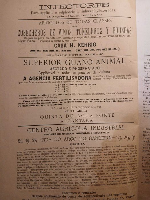 Gazeta dos Lavradores, Agosto de 1883