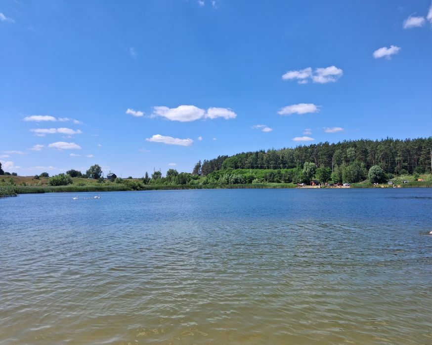 Продаж будинку  в Новому Білоусі .