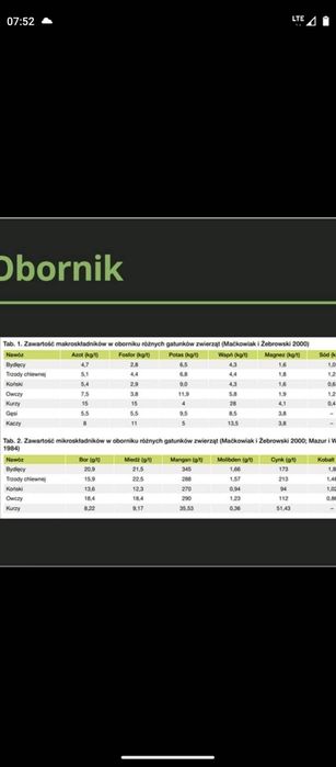 Obornik Kurzak bydlęcy transport!