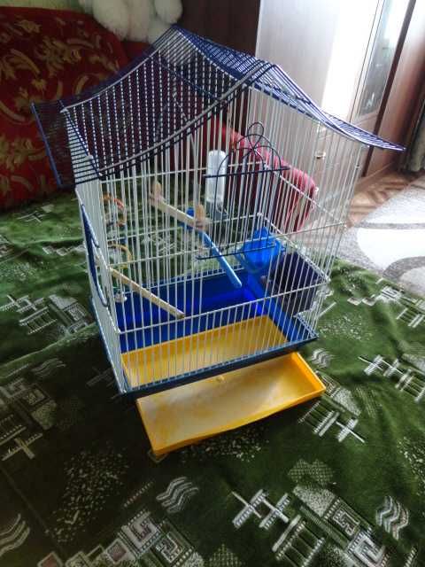 Клітка для птаха