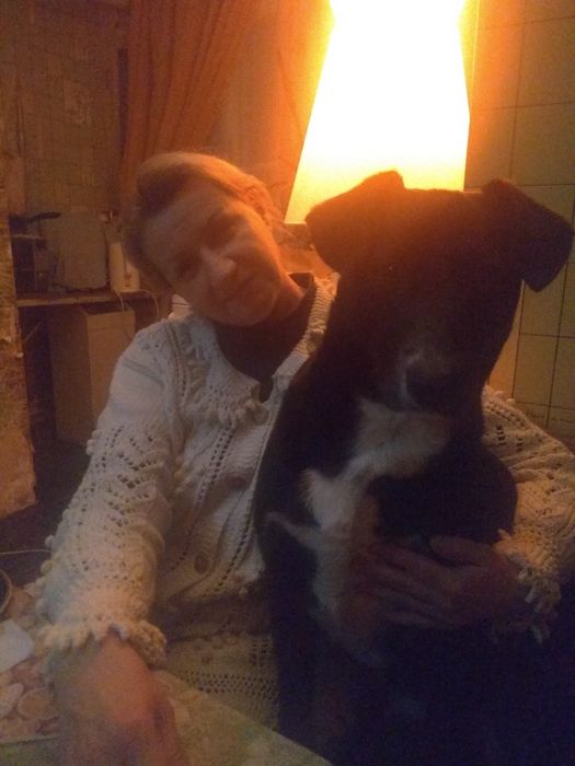 Шукаю собачку для в'язки