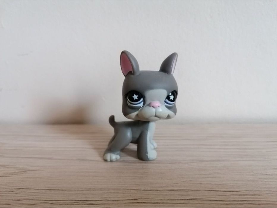 Littlest pet shop lps pies boston terier