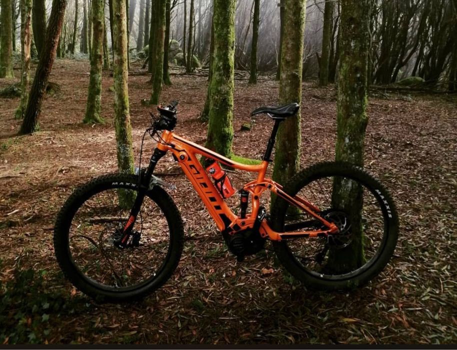 E-Bike Giant stance E+1