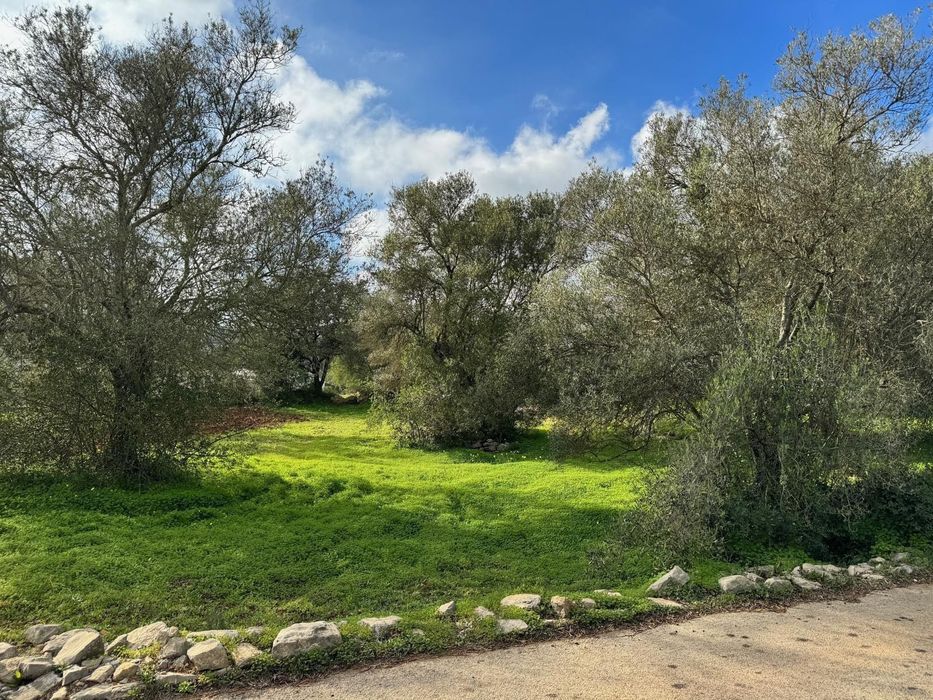 Belo terreno urbano para construir até 4 moradias com bons acessos!