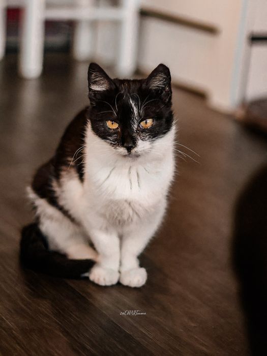 Malutka Müesli do kochania