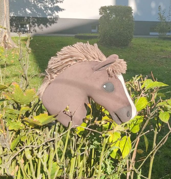 Hobby horse A4 stan db