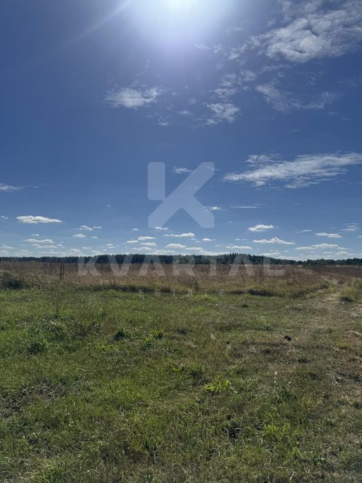 Земельна ділянка в с. Дружня, 15 соток. Вигідна пропозиція