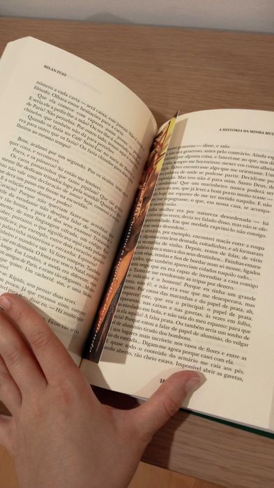 A História da Minha Mulher - Milan Fust