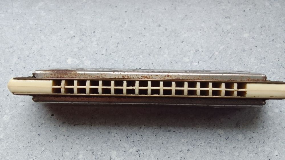 Harmonijka Nightingale słowikowa