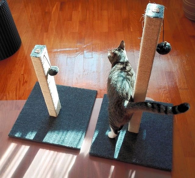 Arranhadores variados de cartão / sisal /alcatifa