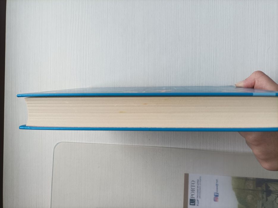 Livro "Rato Picado" de David Walliams