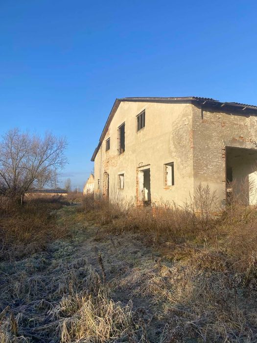 Нежитлові приміщення (ферма)