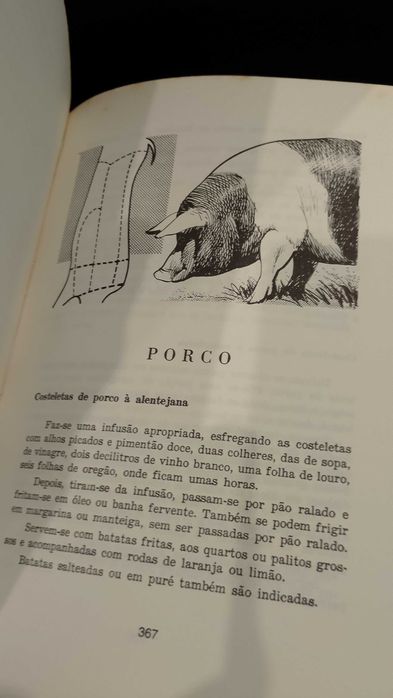 Selecção Culinária - Margarida Noémia