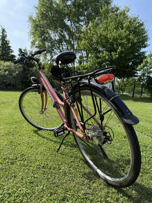 Rower Maxim Excursion 120