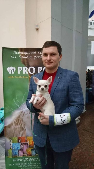 Дресирування собак. Кінолог. Виїзд. Пансіон