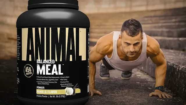 Universal Nutrition, Animal Balanced Meal 5lb (2.3kg)