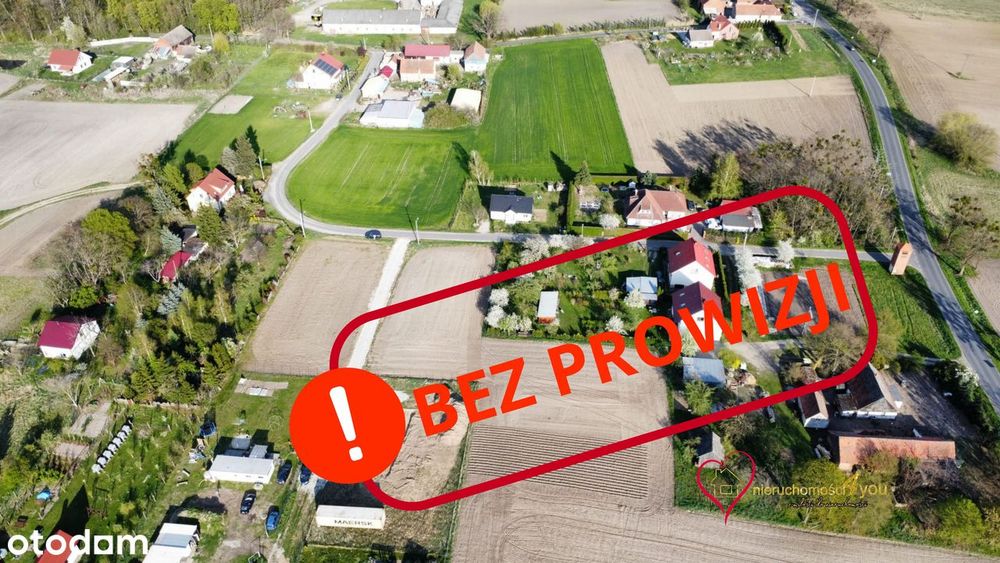 Zdjęcie 3