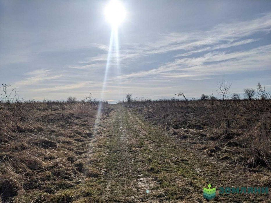Продається ділянка 10 сот Загвіздя (8)
