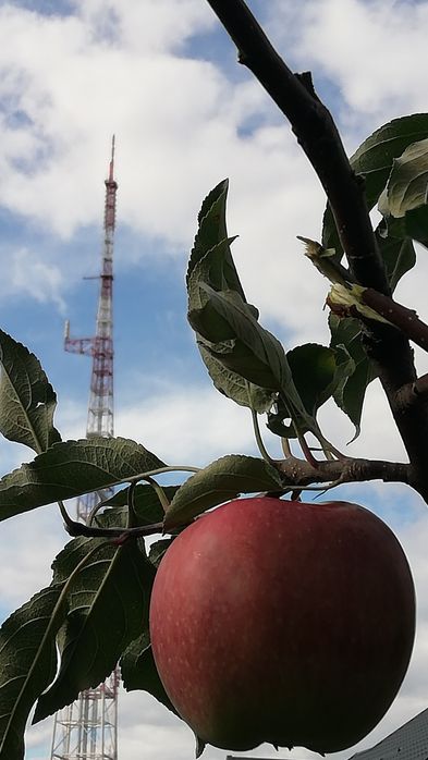 АНТЕННЫ - комнатная с усилением сигнала Т2 есть наличии разные антенны