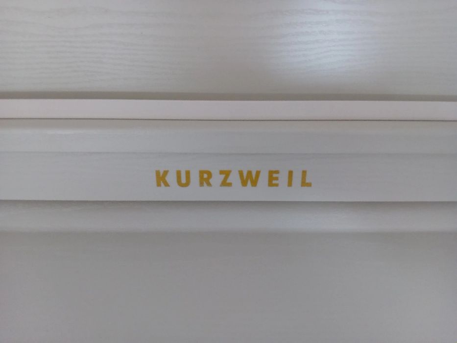 Piano elétrico Kurzweil Young Chang