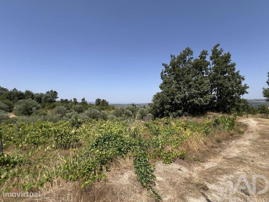 Terreno em Sernancelhe e Sarzeda de 44527,00 m2