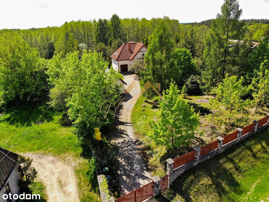 Oaza ciszy nad rzeką w otoczeniu natury