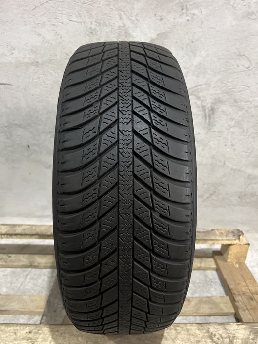 195/55/16 91H Nexen N blue 4season Opona Pojedyncza