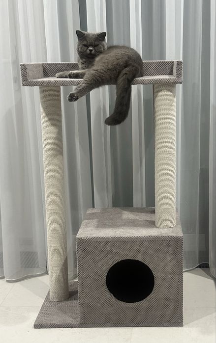 Будиночок, кігтеточка для котиків