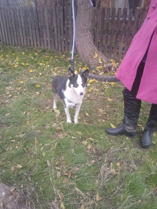 Неймовірно активна