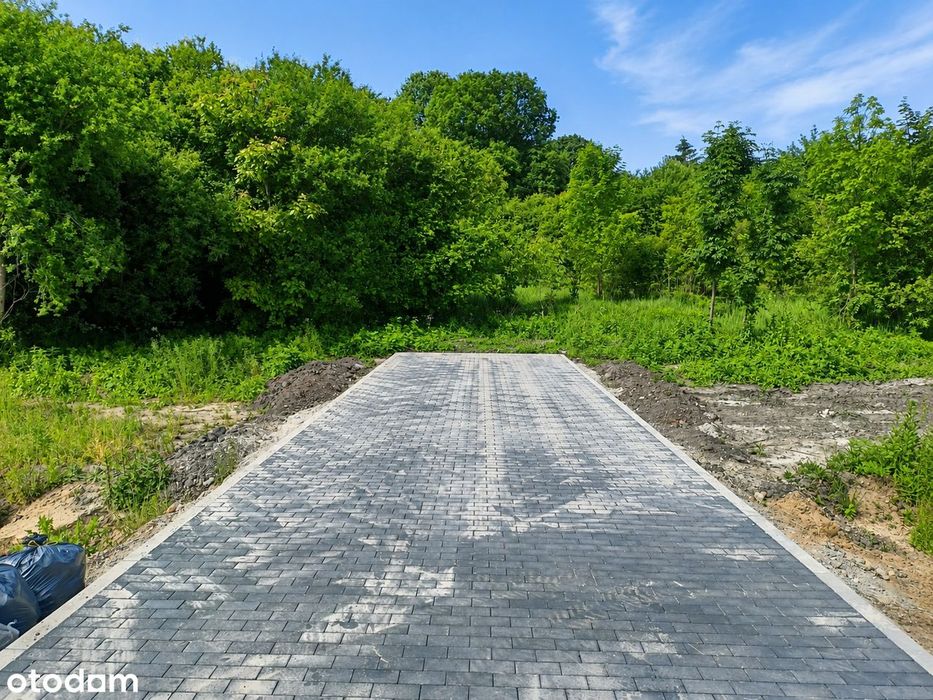 Zdjęcie 4