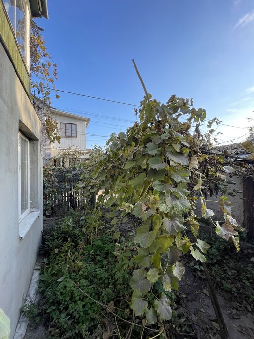 Участок в городе!