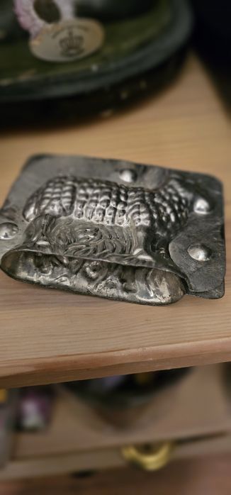 Modny i uroczy baranek