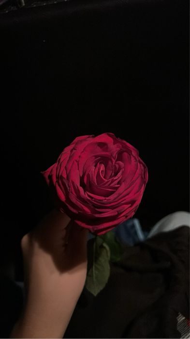 Róża koncert SANAH ORGINAL