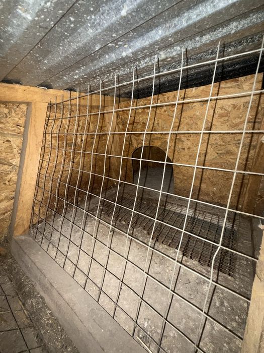 Клітка для кролів