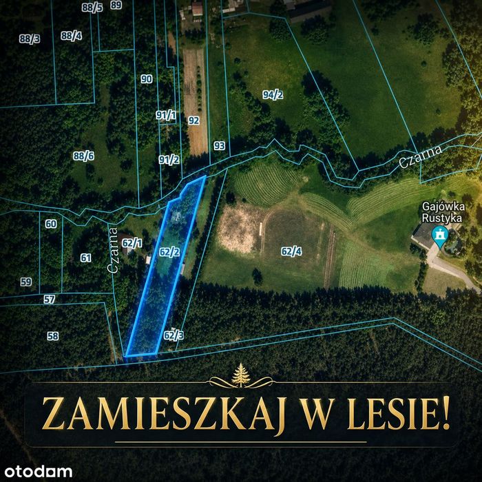 Zdjęcie 3