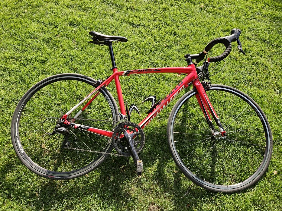 Rower szosowy Specialized Allez / Shimano Sora / karbonowy widelec FACT