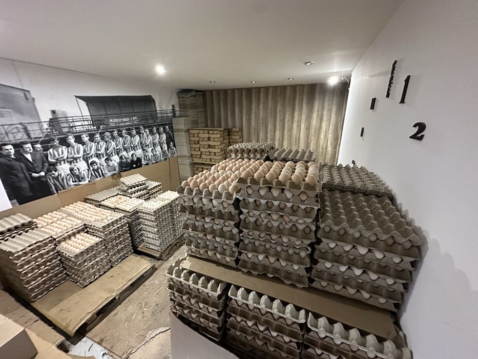 Jaja wolny wybieg kremowe 1pl.  3pl   XXL