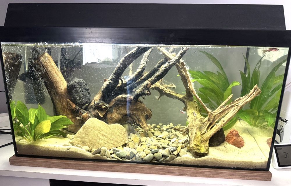 Akwarium Juwel 60l + dodatki