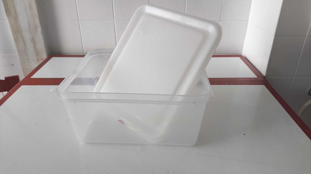 Kit Recipentes Alimentares Hermeticos Gastronorm