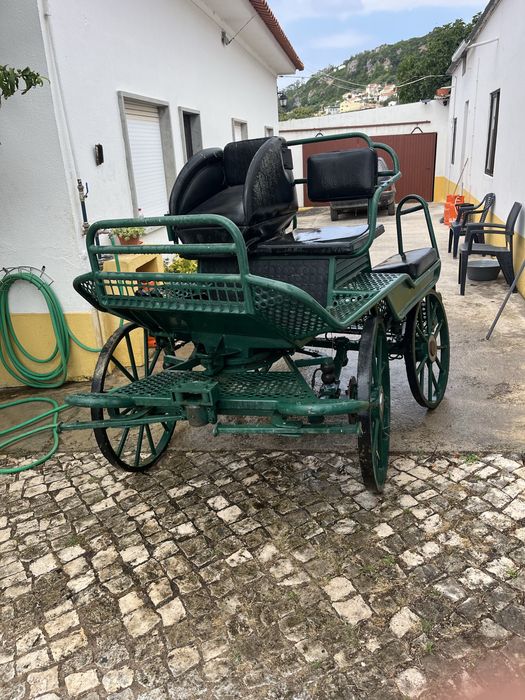 Vendo maratona competicao e passeio