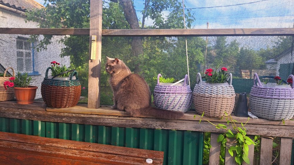 Продаж житлового будинку  та земельної ділянки