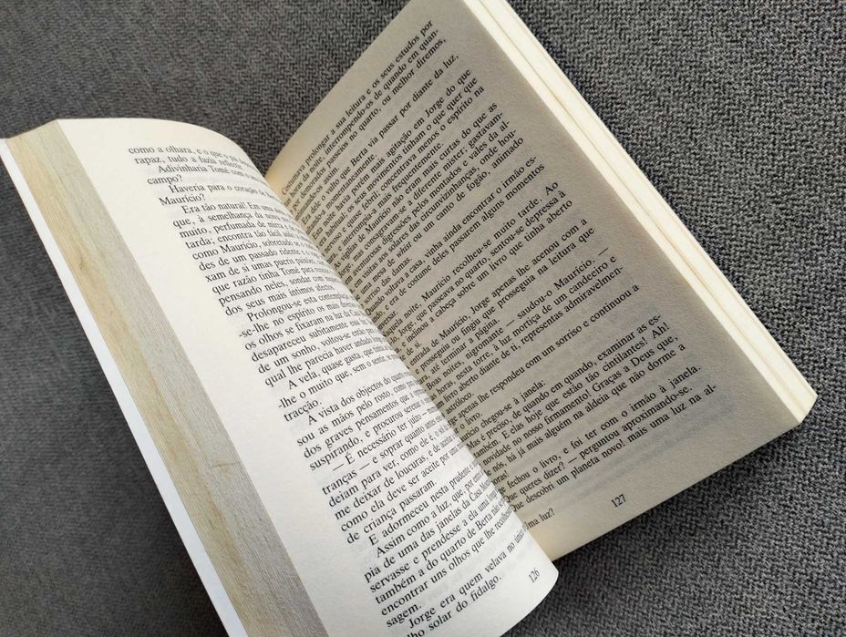 Livro "Os fidalgos da casa Mourisca" de Júlio Dinis
